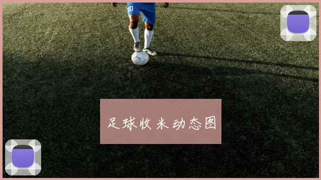 足球收米动态图