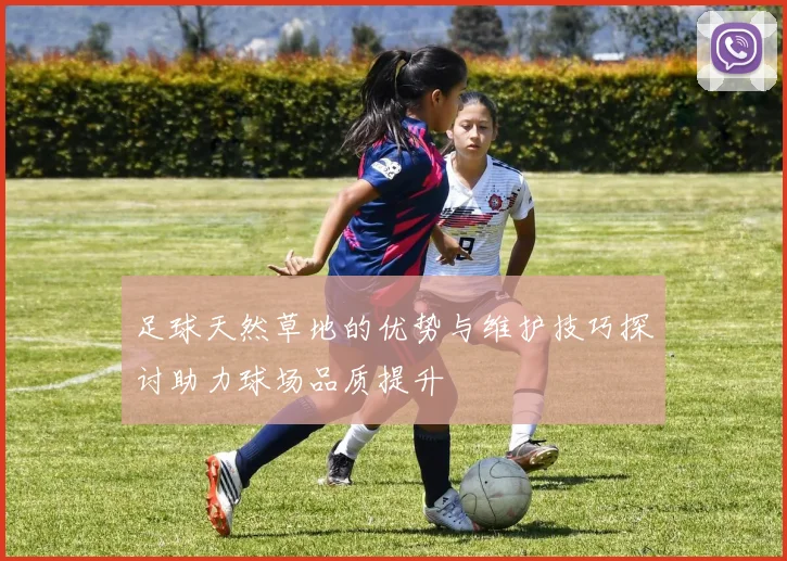 足球天然草地的优势与维护技巧探讨助力球场品质提升